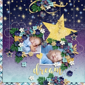 DSI-HSA-dream-3March.jpg