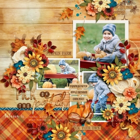 DSI-HSA-pick-of-the-patch-26Oct.jpg