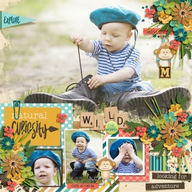 DSI-HSA-wild-little-monkey-28Jan.jpg