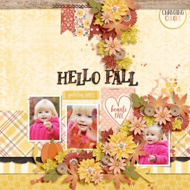 DSI-Hello-Fall-3Sept.jpg