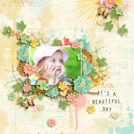 DSI-Its-a-Beautiful-Day-27Aug.jpg