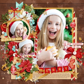 DSI-Merry.jpg