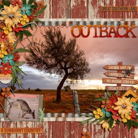 DSI-Outback-29July.jpg