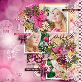 DSI-SS-my-Christmas-wish.jpg