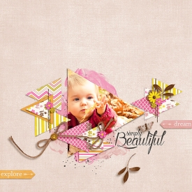 DSI-Simply-Beautiful-12Sept.jpg