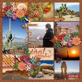 DSI-TD-desert-adventure-20May.jpg
