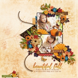 DSI-TTT-beautiful-fall-7Oct.jpg