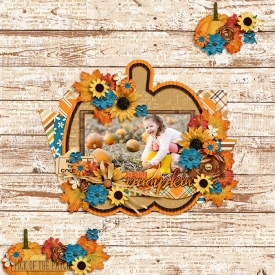 DSI-TTT-cute-little-pumpkin.jpg