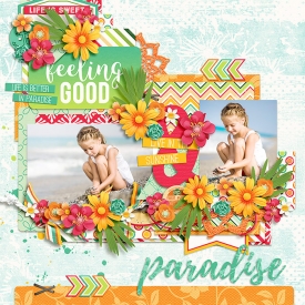 DSI-TTT-paradise.jpg