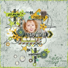 DSI-TTT-say-what-28Aug.jpg