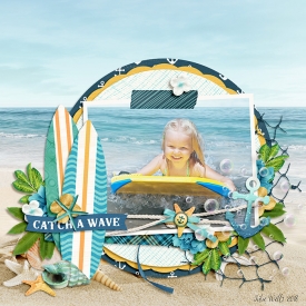DSI-catch-a-wave19May.jpg