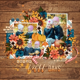 DSI-crisp-fall-days-5Oct.jpg