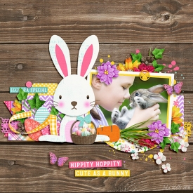 DSI-cute-as-a-bunny-31March.jpg