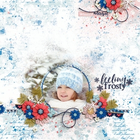 DSI-feeling-frosty-21Jan.jpg