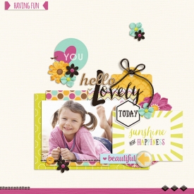 DSI-hello-lovely-14May.jpg