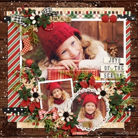 DSI-joys-of-the-season-3Nov.jpg