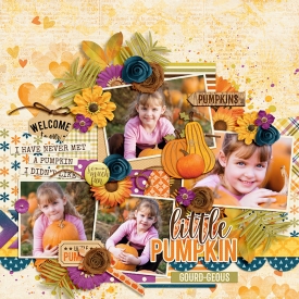 DSI-little-pumpkin-1Oct.jpg