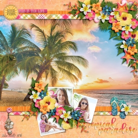DSI-tropical-paradise.jpg