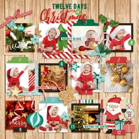 DSI-twelve-days-of-Christmas.jpg