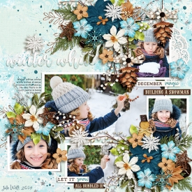 DSI-winter-white-28Nov.jpg