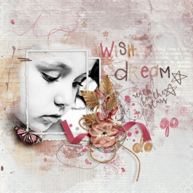DSI-wish-dream-12Dec.jpg