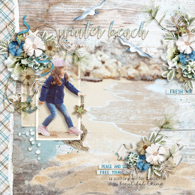 DSI_HSA_winter-beach_28Jan.jpg