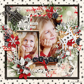 DSI_MERRY_22Nov.jpg