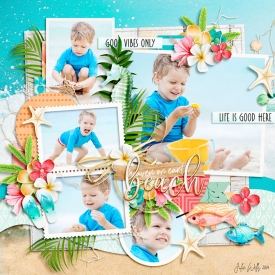 DSI_beach.jpg