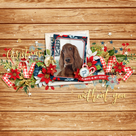 DSI_christmaswithoutyou-ck01.jpg