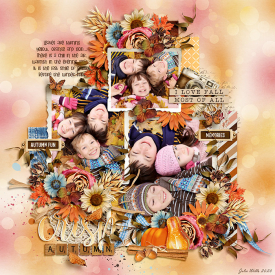 DSI_crisp-Autumn_3Oct.jpg