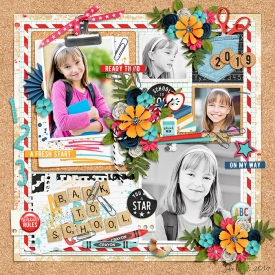 DSIback-to-school-8Aug.jpg