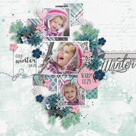 DT-DSI-Winter-1Jan.jpg