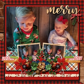 MFishHolBig_Little1_dsi_christmasmemories_robin_web.jpg