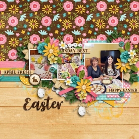 Rusticeasteromc1.jpg