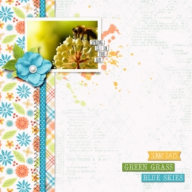 Spring-copy2.jpg