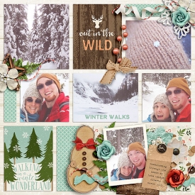 Wild-walks-600.jpg