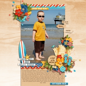 adayatthebeachF700.jpg