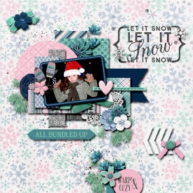 allbundledup-alittlebitofthis700.jpg