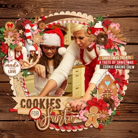 cookiesforsantaF700.jpg