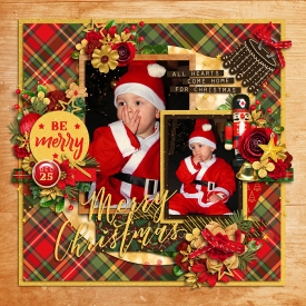 homeforchristmasF700.jpg