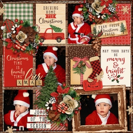 joyoftheseasonF700.jpg