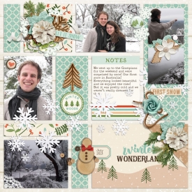 kcbdsi-winterwoods-layout-Willemijne.jpg