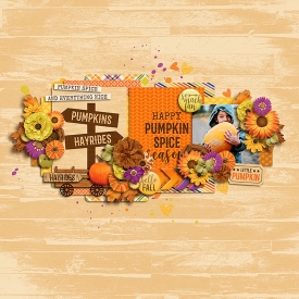 pumpkinpatchF700.jpg