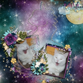 tcot-fantasia-dreams-dsi.jpg