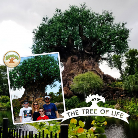 treeoflifeweb.jpg