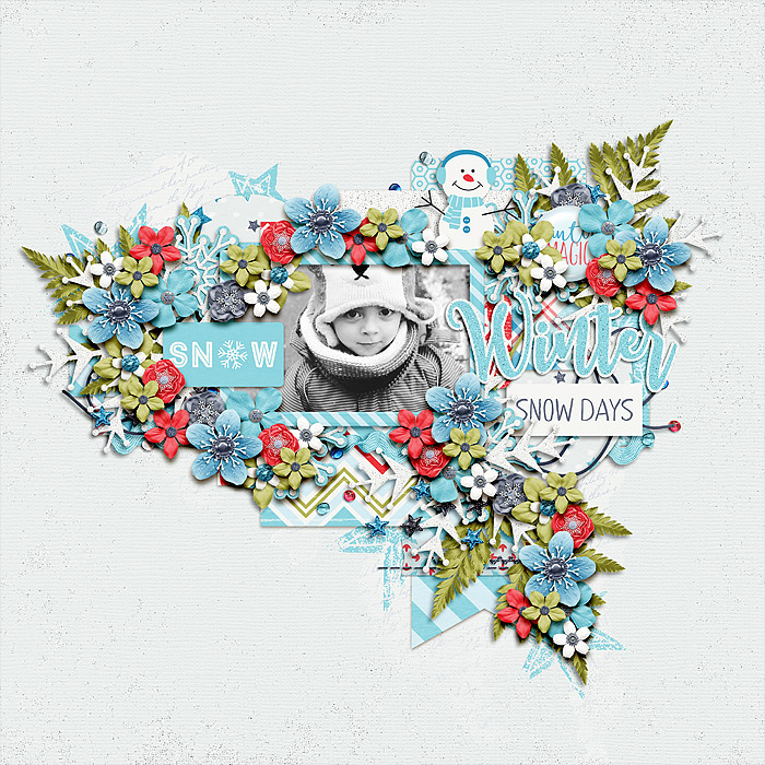 ttt_treasuredmemories_dsi_wintermagic_ttt83