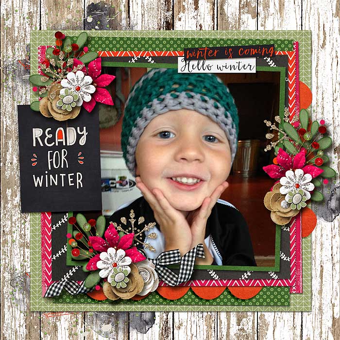Apilisa_PicturePerfect147_redivy_winteriscoming_robin_web