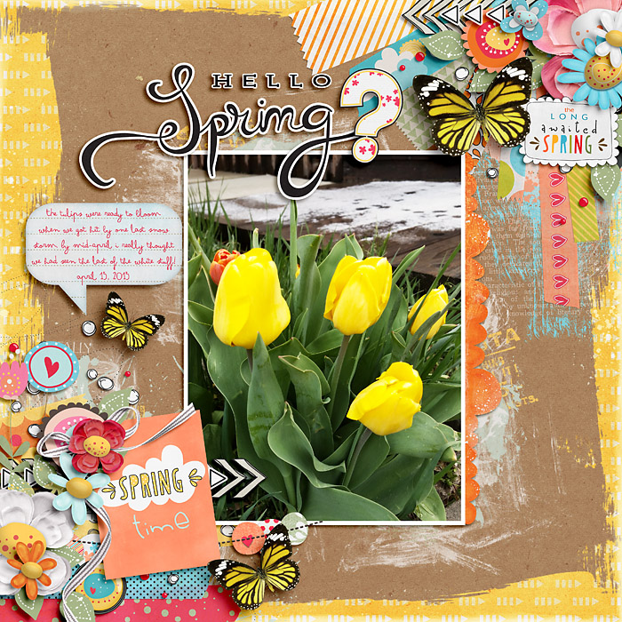 Flowers_Sunshine