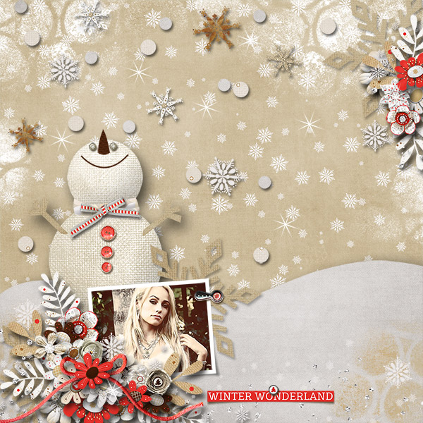 Winter-Wonderland9