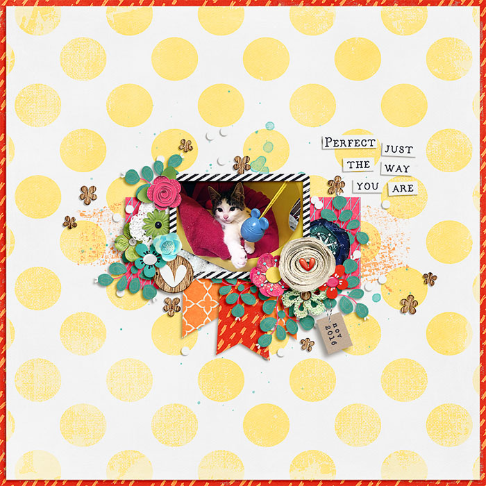 clivesay-insd2017-temp1_700